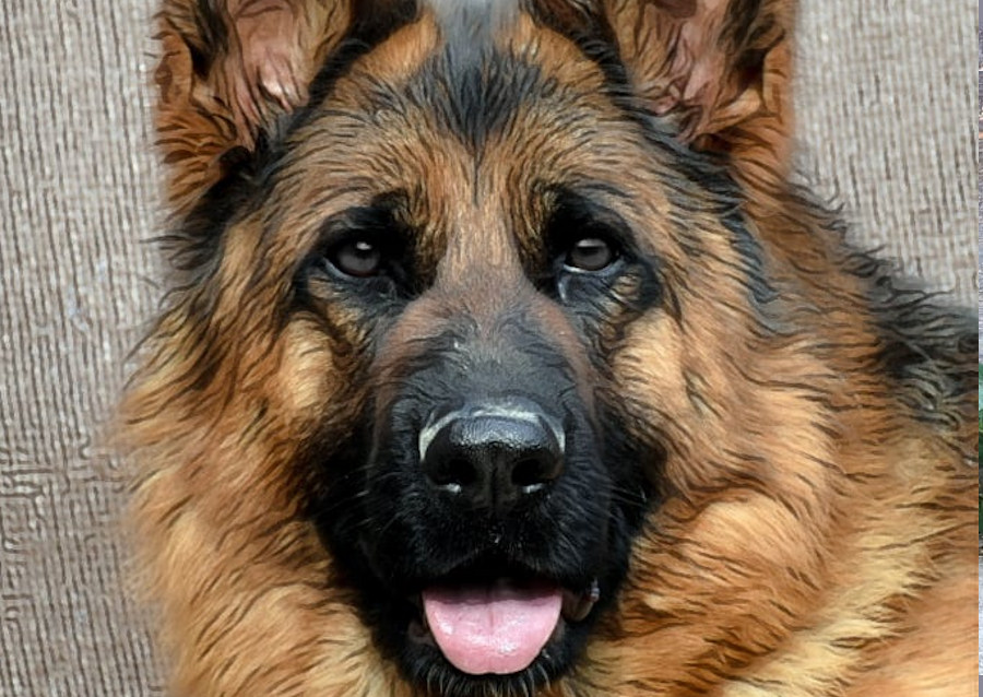 /